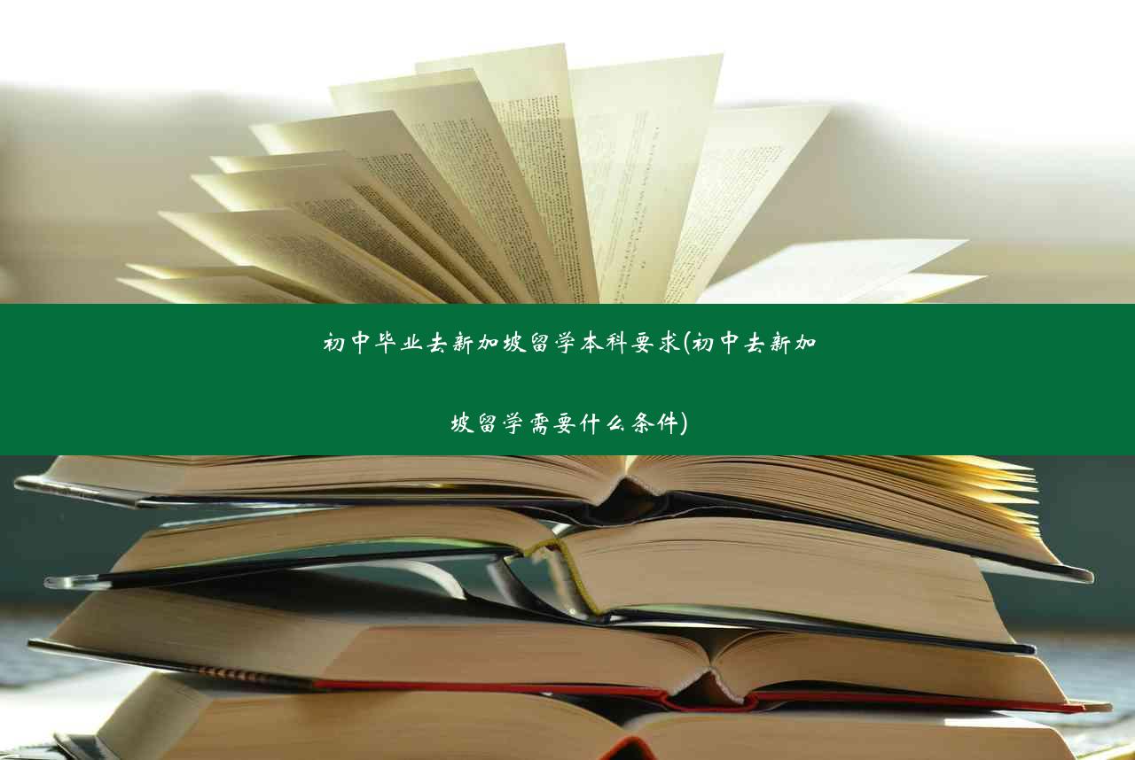 初中毕业去新加坡留学本科要求(初中去新加坡留学需要什么条件)