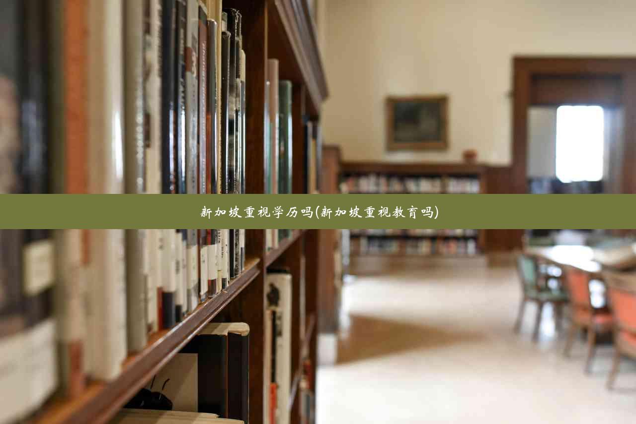 新加坡重视学历吗(新加坡重视教育吗)