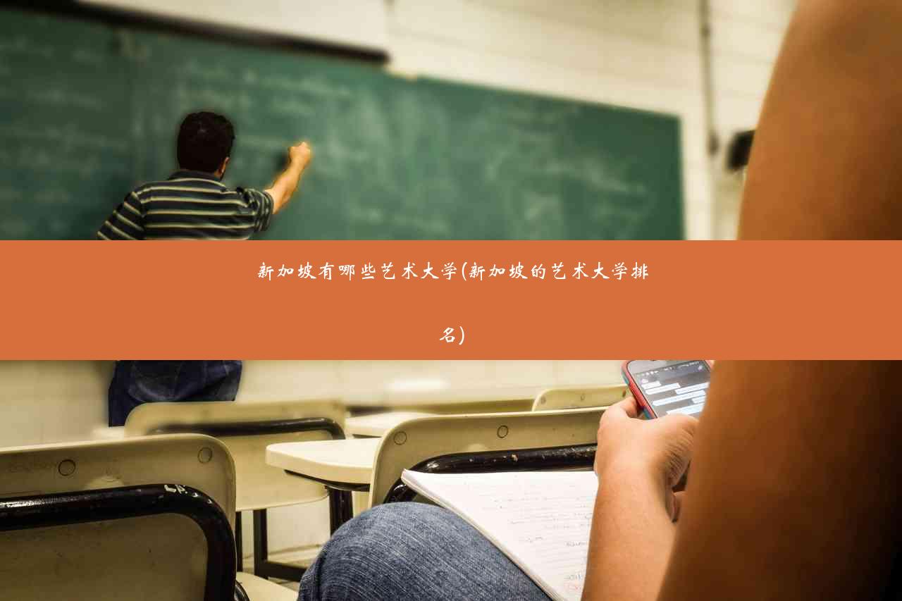 新加坡有哪些艺术大学(新加坡的艺术大学排名)