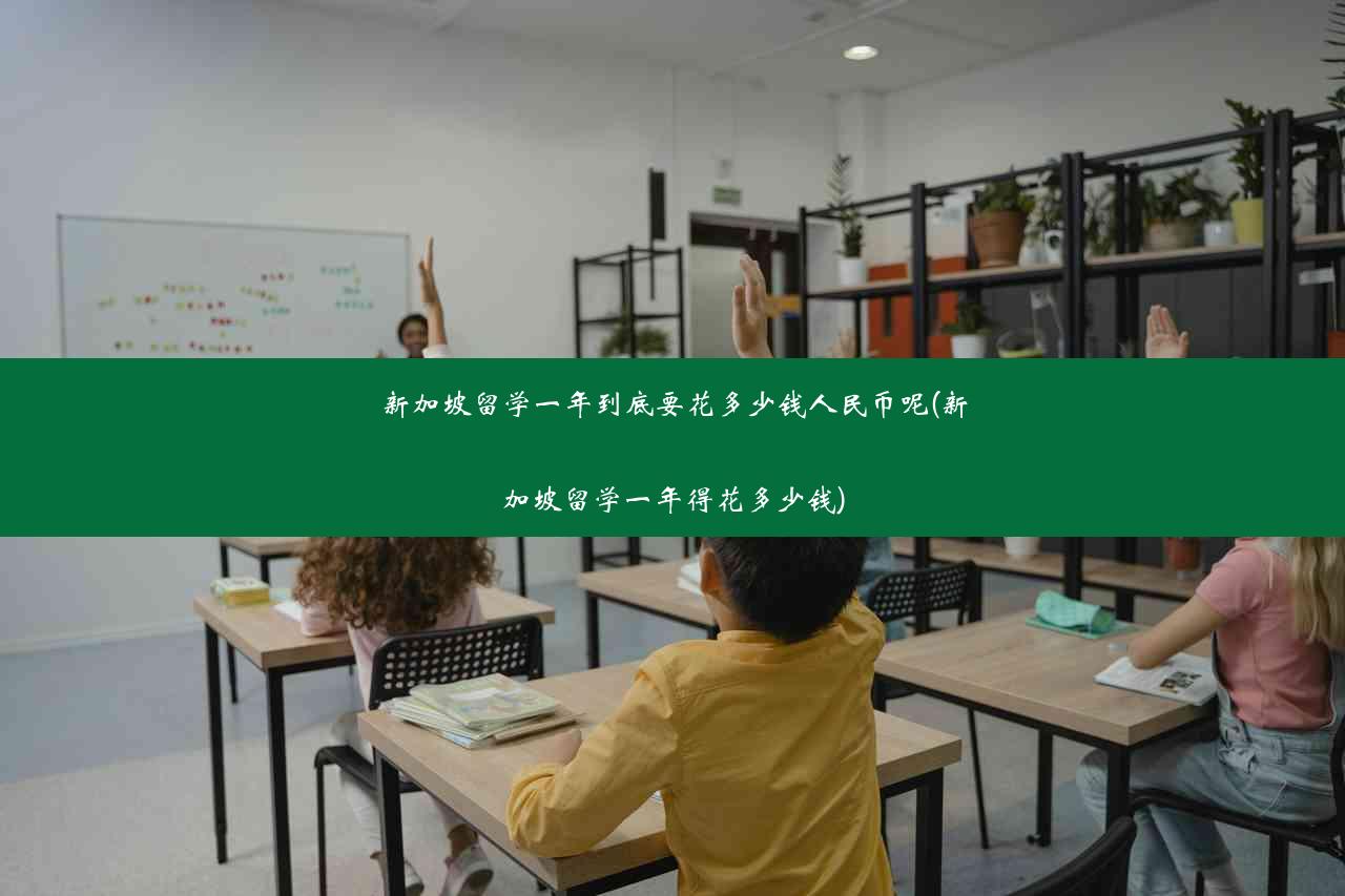 新加坡留学一年到底要花多少钱人民币呢(新加坡留学一年得花多少钱)