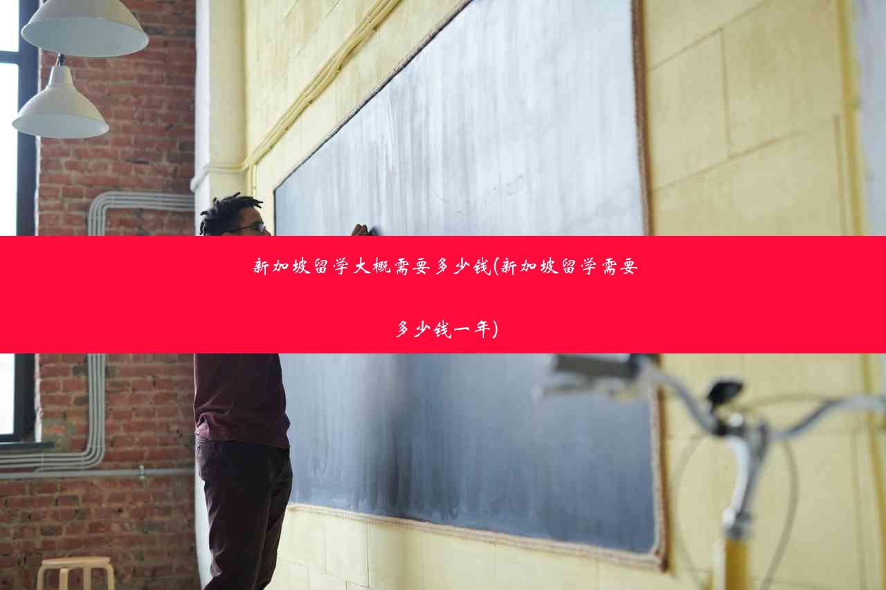 新加坡留学大概需要多少钱(新加坡留学需要多少钱一年)