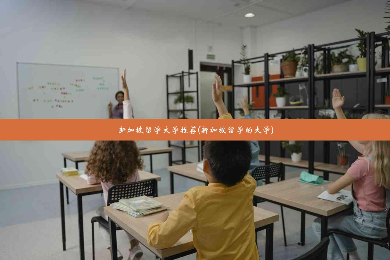 新加坡留学大学推荐(新加坡留学的大学)