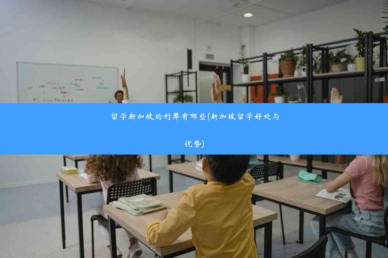 留学新加坡的利弊有哪些(新加坡留学好处与优势)